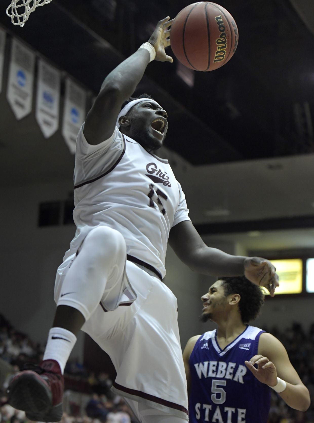 Griz vs Weber-3-tm.jpg